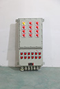 防爆配電箱 IIB級(jí)（內(nèi)裝上海良信電器元件）